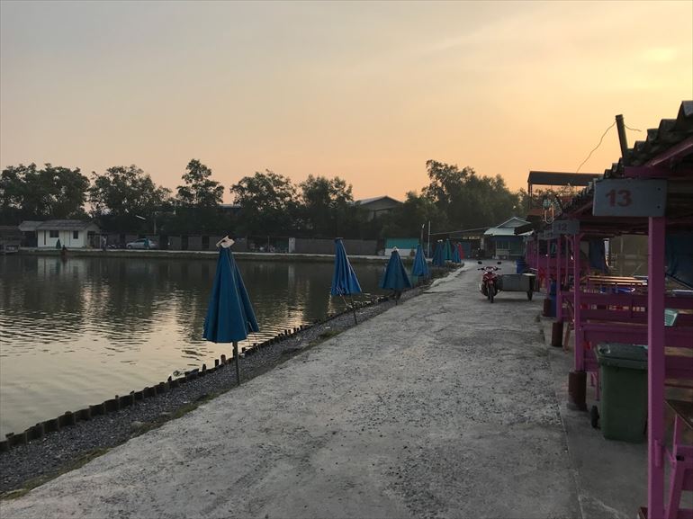 VIP_Fishing-190126
