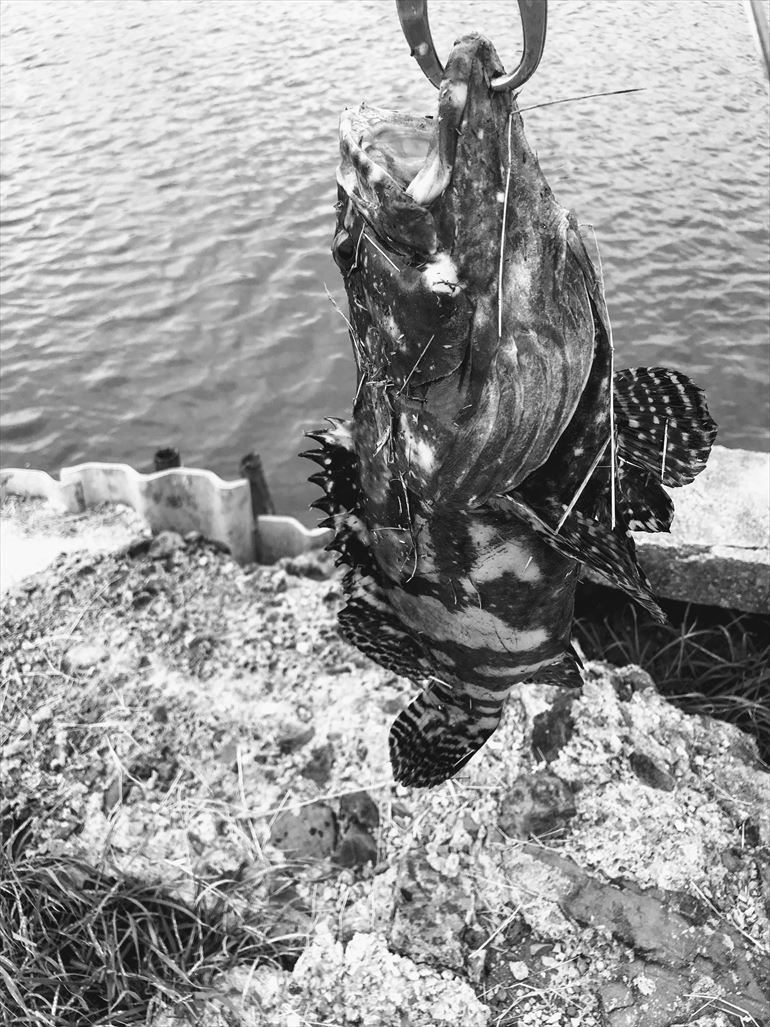 VIP Fishing_190618-1435