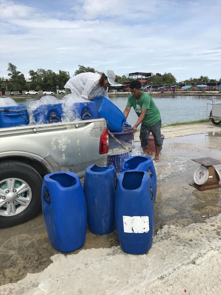 VIP Fishing_190618-1512